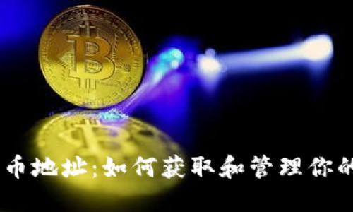 BK钱包持币地址：如何获取和管理你的数字资产