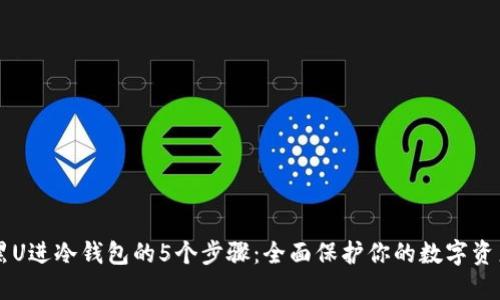 黑U进冷钱包的5个步骤：全面保护你的数字资产