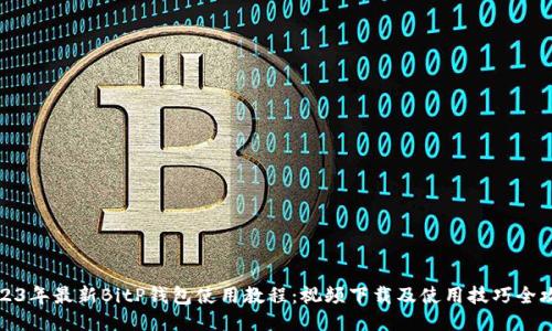 2023年最新BitP钱包使用教程：视频下载及使用技巧全攻略