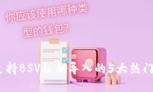 2023年支持BSV私钥导入的5大热门钱包评测