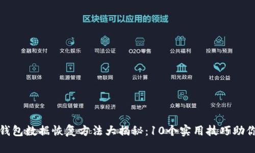 2023年B特派钱包数据恢复方法大揭秘：10个实用技巧助你找回丢失资金