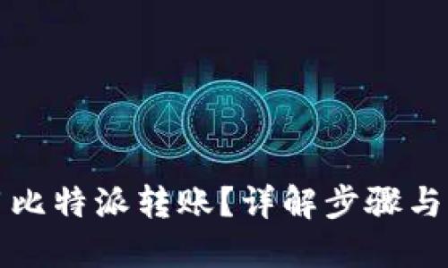 如何使用比特派转账？详解步骤与实用技巧