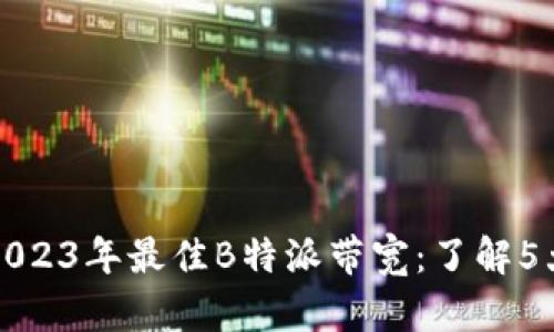 如何选择2023年最佳B特派带宽：了解5大关键指标