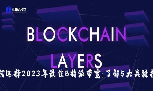 如何选择2023年最佳B特派带宽：了解5大关键指标