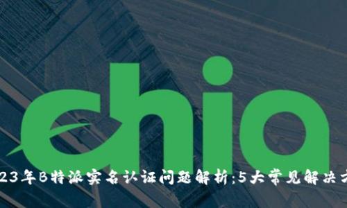 2023年B特派实名认证问题解析：5大常见解决方案