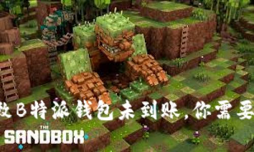 5种常见原因导致B特派钱包未到账，你需要知道的解决方案