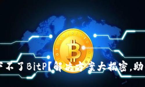 苹果手机下不了BitP？解决方案大揭密，助你畅享应用