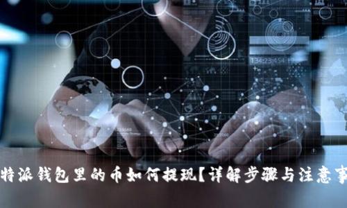 比特派钱包里的币如何提现？详解步骤与注意事项