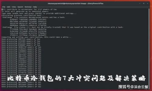 比特币冷钱包的7大冲突问题及解决策略