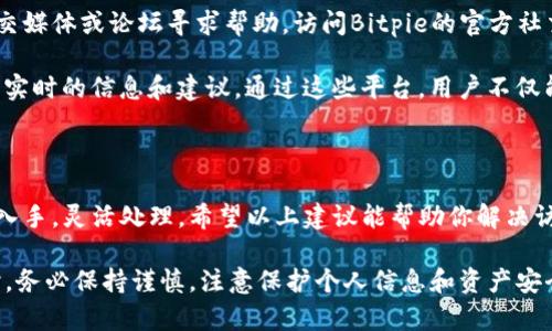 关于Bitpie网站无法打开的问题，可能有多种原因。在互联网使用中，无论是访问加密货币钱包、交易所还是任何其他网站，都会遇到各种各样的访问障碍。下面，我将为你分析可能的原因，并提供解决方案。

可能的原因

首先，网站无法访问可能是由于服务器问题。Bitpie作为一个加密货币钱包，服务器的运行和维护至关重要。如果服务器出现故障，用户将无法访问其网站。这种情况通常会在短时间内得到解决，用户需耐心等待。

其次，网络连接问题也是一个常见的原因。如果用户的网络连接不稳定，或者存在与ISP（互联网服务提供商）相关的问题，都会导致访问失败。用户可以通过尝试访问其他网站来判断是个人网络问题还是Bitpie网站的问题。

另外，地区限制或地理屏蔽可能造成访问困难。某些国家或地区对加密货币相关的网站有严格的访问限制，导致用户无法打开相关网页。如果有人在这些地区使用VPN，可能会产生不同的访问效果。

还有一种可能就是浏览器设置或缓存问题。有时候，浏览器的存储和缓存会导致某些网站无法正常加载。清理浏览器的缓存和Cookies，或者尝试使用隐身模式访问网站，可能就能解决问题。

如何解决访问问题

要解决Bitpie网站无法访问的问题，用户可以从多个方面入手。首先，检查网络连接是首要步骤。可以尝试重启调制解调器或路由器，确保网络连接正常。接着，使用手机数据网络或其他Wi-Fi连接来测试网站是否可用，以此排查是否为个人网络问题。

如果确认网络没有问题，可以尝试使用不同的浏览器。有时候，某些浏览器与网站的兼容性不佳，导致访问问题。尝试更换到Chrome、Firefox或Edge等不同的浏览器，看看是否能够成功打开网页。

此外，检查计算机或设备的防火墙及安全软件设置是否影响到网站的访问。有些安全软件可能会阻止对某些网站的访问，用户可以在安全软件的设置中临时禁用相关功能进行测试。

使用VPN的可能性

在某些地区，由于政策原因，Bitpie网站可能会被封锁。在这种情况下，使用VPN是一种有效的解决方案。VPN可以帮助用户绕过地理限制，使其能够访问被屏蔽的网站。在选择VPN时，建议选择信誉良好的服务提供商，以确保速度和安全性。

值得注意的是，在使用VPN访问网站时，用户应确保所连接的服务器位于可以访问Bitpie的国家或地区。不同的服务器可能会导致速度差异，用户可以尝试不同的服务器以找到最佳的连接。

联系支持和社区资源

如果以上方法都不能解决问题，相关的联系支持可能是唯一的解决方案。Bitpie作为一个服务平台，通常会提供客户支持，用户可以通过电子邮件、社交媒体或论坛寻求帮助。访问Bitpie的官方社交媒体账号，了解是否有其他用户遇到相同问题，或者查看网站的公告，了解是否存在系统维护或故障。

除了官方支持，用户还可以借助加密货币社区的力量。在Reddit、Telegram等社交平台上，有许多针对Bitpie及类似钱包的讨论区，用户可以借此获取实时的信息和建议。通过这些平台，用户不仅能找到解决网站无法访问问题的方法，还可能获得关于如何更有效地使用Bitpie的钱包的建议。

总结

在日常使用中，Bitpie网站无法打开的情况并不罕见。从网络问题到地理限制，各种原因都有可能导致无法访问。在采取解决方案时，用户需从多方面入手，灵活处理。希望以上建议能帮助你解决访问问题，使你能顺利使用Bitpie。无论是访问数字资产，还是使用加密货币服务，保持好的网络习惯和使用技巧，能够让你在数字化时代中游刃有余。 

同时，随着加密货币行业的发展和变化，除了Bitpie，用户也可以考虑其他钱包或者交易平台，分散风险，增强安全性。在使用任何加密货币服务的同时，务必保持谨慎，注意保护个人信息和资产安全。