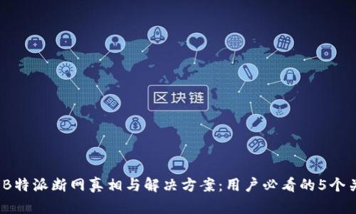 2023年B特派断网真相与解决方案：用户必看的5个关键策略