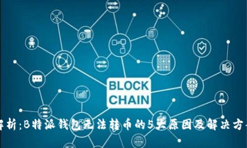 解析：B特派钱包无法转币的5大原因及解决方案