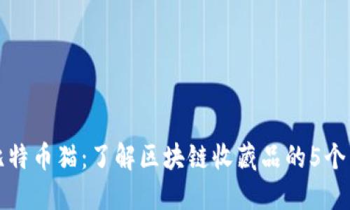 揭秘比特币猫：了解区块链收藏品的5个关键点