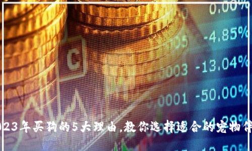 2023年买狗的5大理由，教你选择适合的宠物伴侣