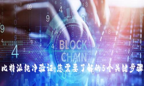 比特派纯净验证：您需要了解的5个关键步骤