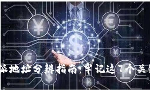 2023年比特派地址分辨指南：牢记这7个关键点确保安全