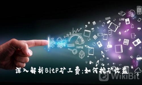 深入解析BitP矿工费：如何挖矿收益