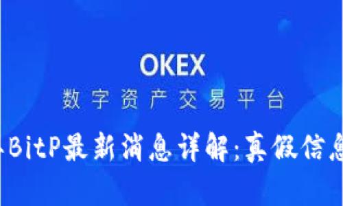 2023年BitP最新消息详解：真假信息全解析