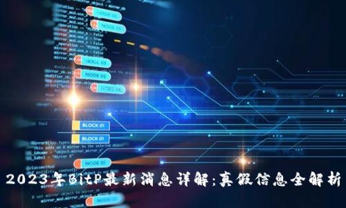 2023年BitP最新消息详解：真假信息全解析