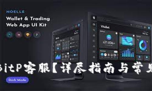 如何找到BitP客服？详尽指南与常见问题解答
