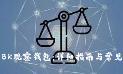 如何创建BK观察钱包：详细指南与常见问题解答