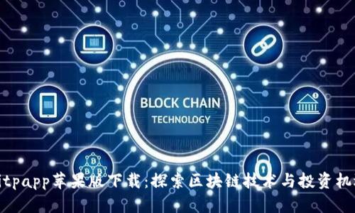 Bitpapp苹果版下载：探索区块链技术与投资机遇