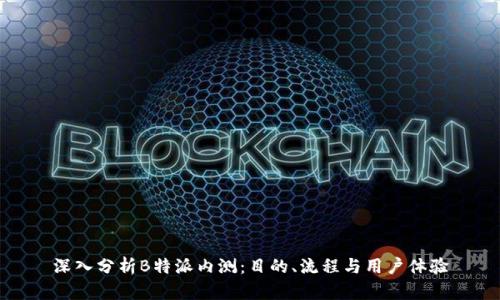 深入分析B特派内测：目的、流程与用户体验