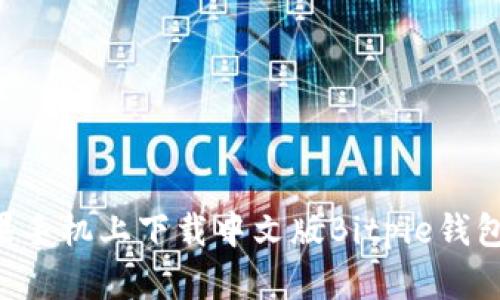 如何在苹果手机上下载中文版Bitpie钱包：详尽指南