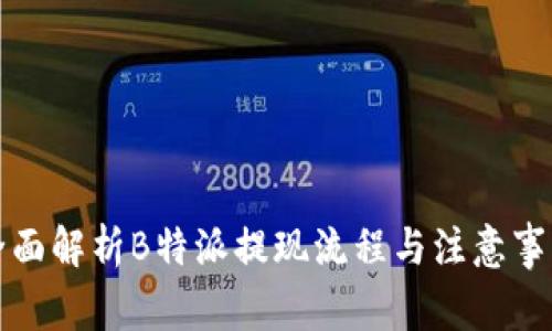 全面解析B特派提现流程与注意事项
