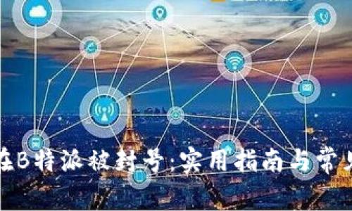 如何防止在B特派被封号：实用指南与常见问题解答