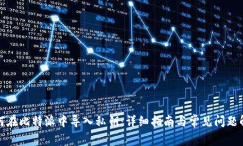 如何在比特派中导入私钥：详细指南与常见问题解答