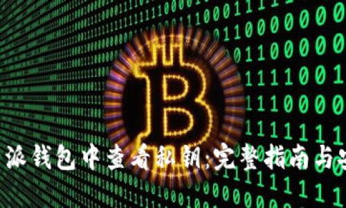 如何在B特派钱包中查看私钥：完整指南与安全性考虑