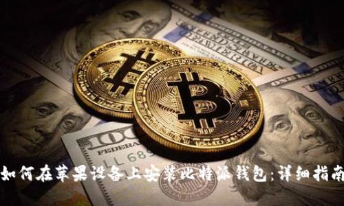 如何在苹果设备上安装比特派钱包：详细指南