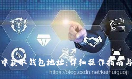 如何在比特派中获取钱包地址：详细操作指南与常见问题解答