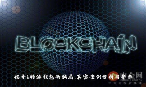 揭开b特派钱包的骗局：真实案例分析与警示