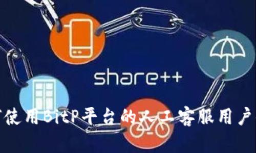 如何使用BitP平台的人工客服用户体验