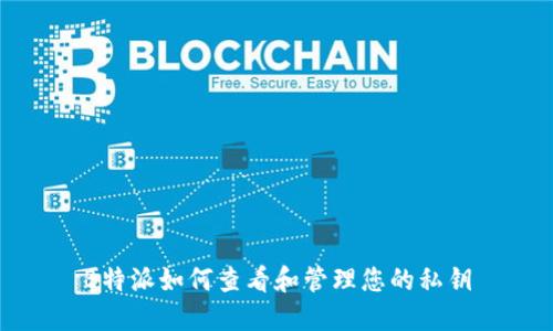B特派如何查看和管理您的私钥