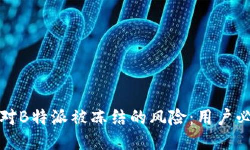 如何应对B特派被冻结的风险：用户必读指南