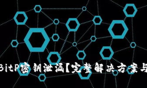 如何应对BitP密钥泄漏？完整解决方案与预防措施