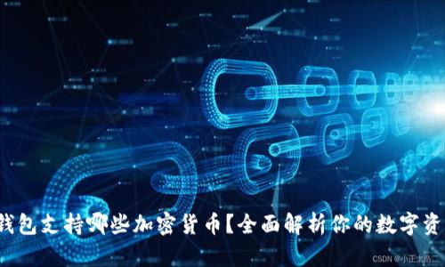b特派钱包支持哪些加密货币？全面解析你的数字资产选择