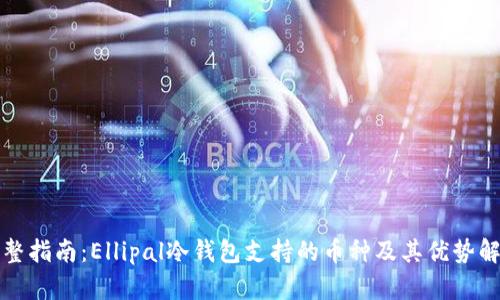 完整指南：Ellipal冷钱包支持的币种及其优势解析
