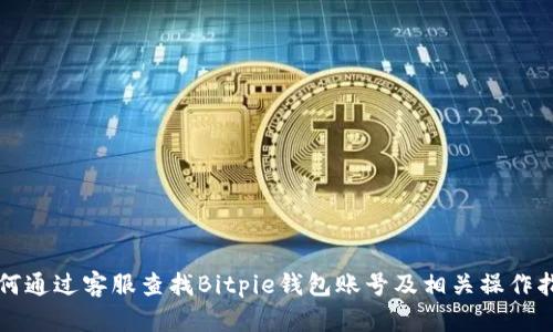 如何通过客服查找Bitpie钱包账号及相关操作指南