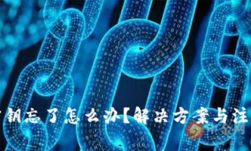 冷链钱包密钥忘了怎么办？解决方案与注意事项详解
