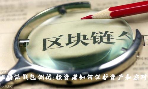 面对B特派钱包倒闭：投资者如何保护资产和应对风险