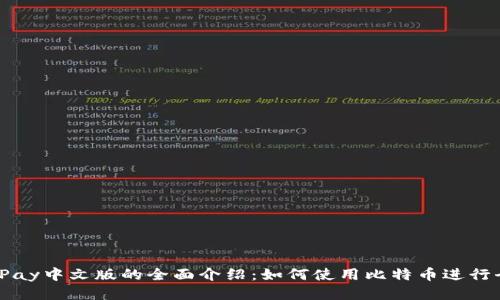 关于BitPay中文版的全面介绍：如何使用比特币进行全球支付