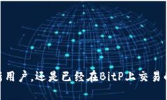   关于BitP的最新动态与更