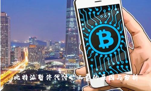 比特派暂停代付旷工费的原因与分析