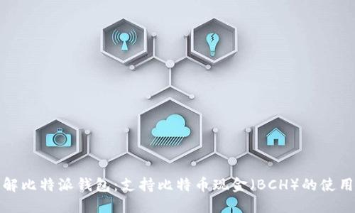 全面了解比特派钱包：支持比特币现金（BCH）的使用和优势