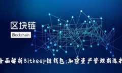 全面解析Bitkeep链钱包：加