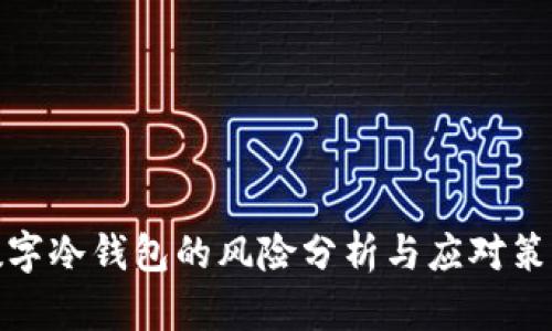 数字冷钱包的风险分析与应对策略